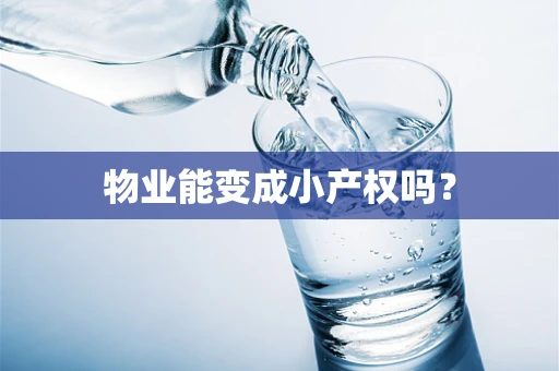 物业能变成小产权吗？