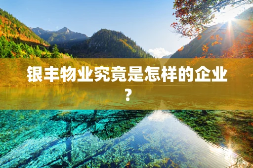 银丰物业究竟是怎样的企业？