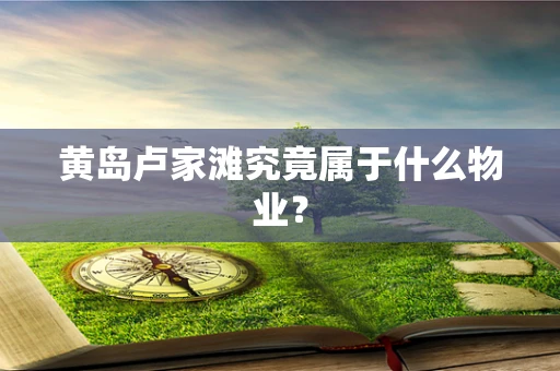 黄岛卢家滩究竟属于什么物业？
