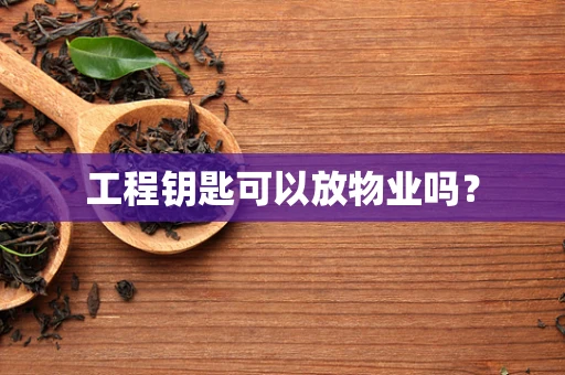 工程钥匙可以放物业吗？