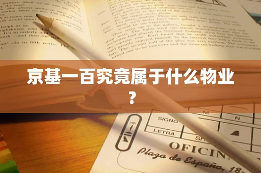 京基一百究竟属于什么物业？