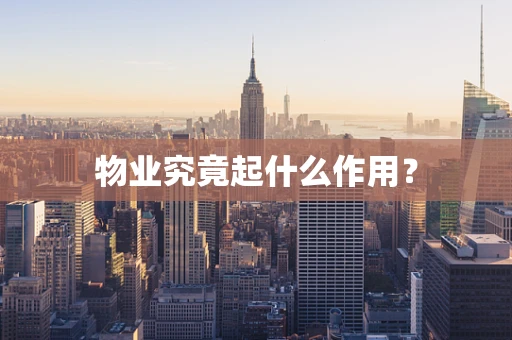 物业究竟起什么作用？