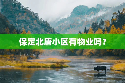 保定北唐小区有物业吗？