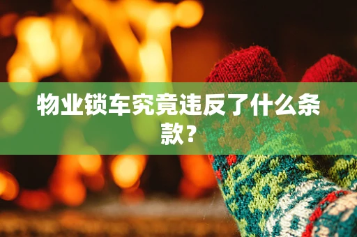 物业锁车究竟违反了什么条款？