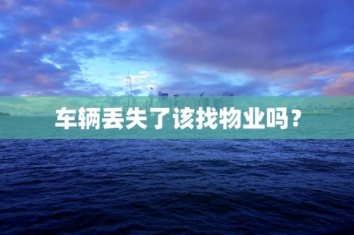 车辆丢失了该找物业吗？