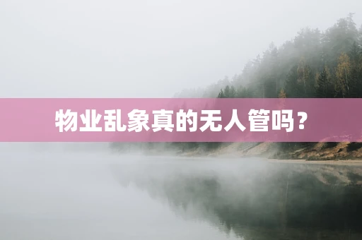 物业乱象真的无人管吗？