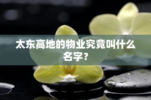 太东高地的物业究竟叫什么名字？