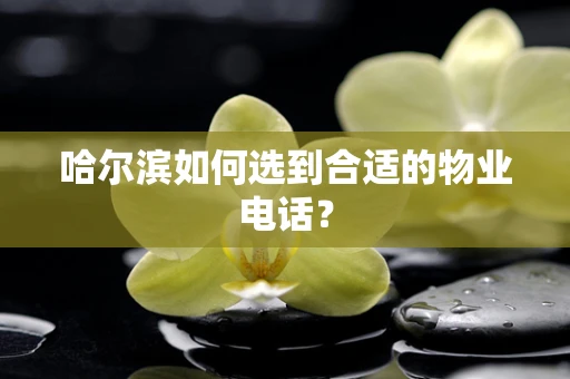 哈尔滨如何选到合适的物业电话？
