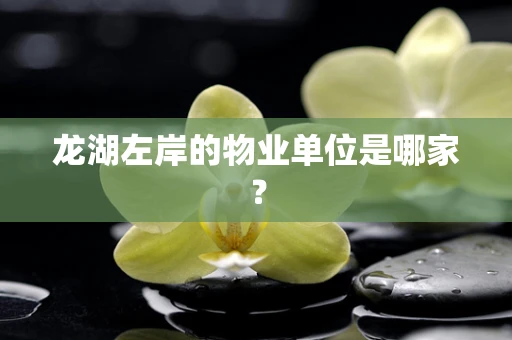 龙湖左岸的物业单位是哪家？