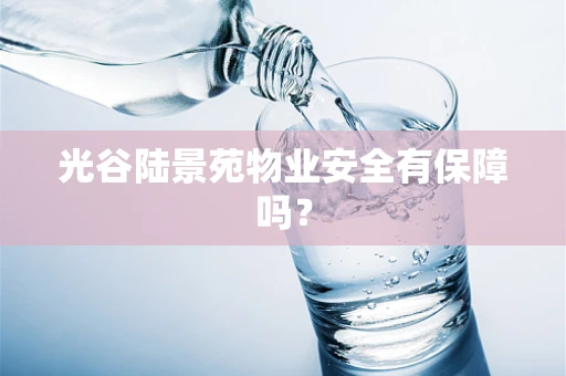 光谷陆景苑物业安全有保障吗？