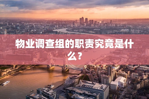 物业调查组的职责究竟是什么？