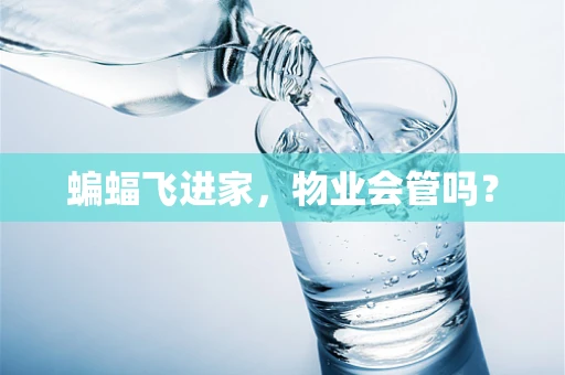 蝙蝠飞进家，物业会管吗？