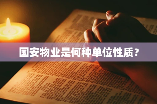 国安物业是何种单位性质？