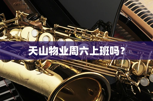 天山物业周六上班吗？