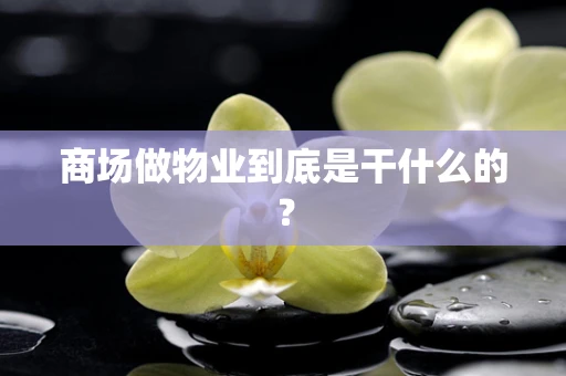 商场做物业到底是干什么的？