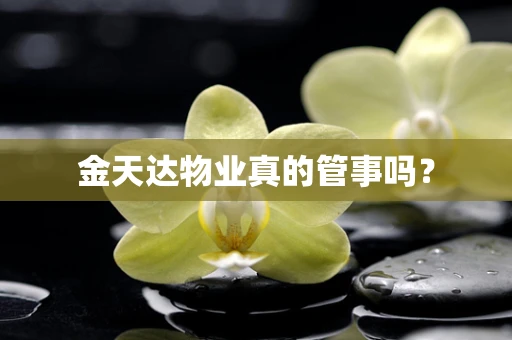 金天达物业真的管事吗？