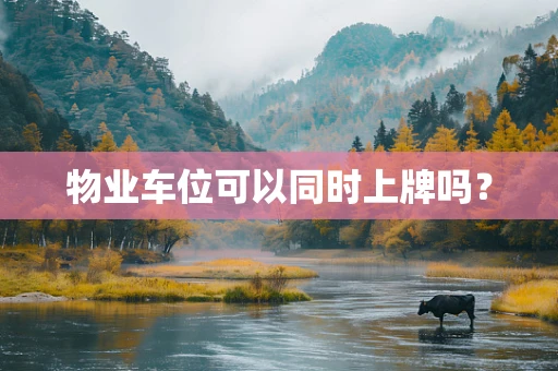 物业车位可以同时上牌吗？