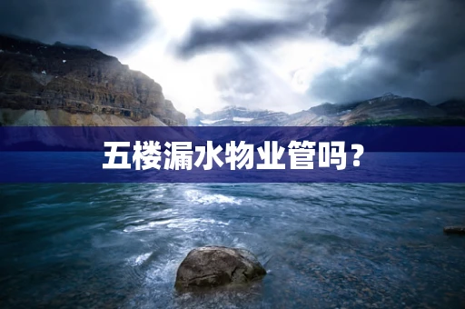 五楼漏水物业管吗？
