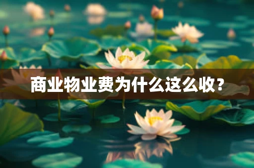 商业物业费为什么这么收？
