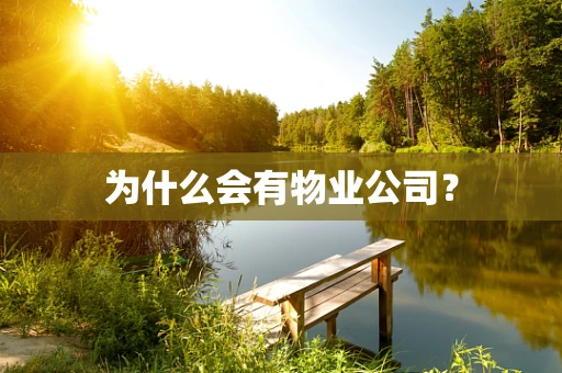 为什么会有物业公司？