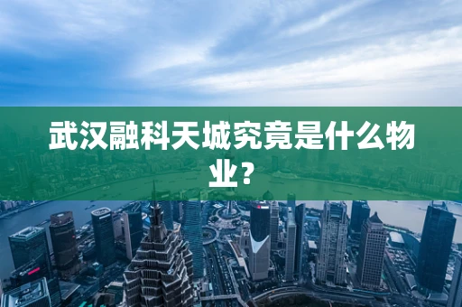 武汉融科天城究竟是什么物业？