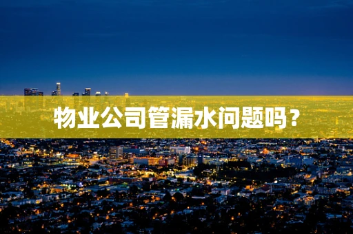 物业公司管漏水问题吗？