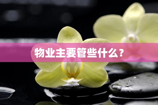 物业主要管些什么？