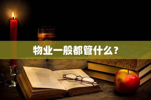 物业一般都管什么？