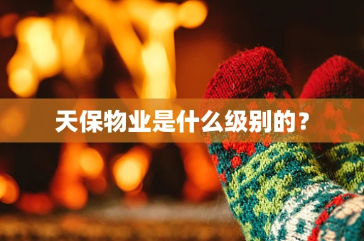 天保物业是什么级别的？