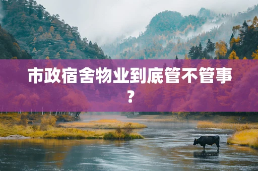 市政宿舍物业到底管不管事？