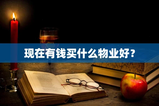 现在有钱买什么物业好？