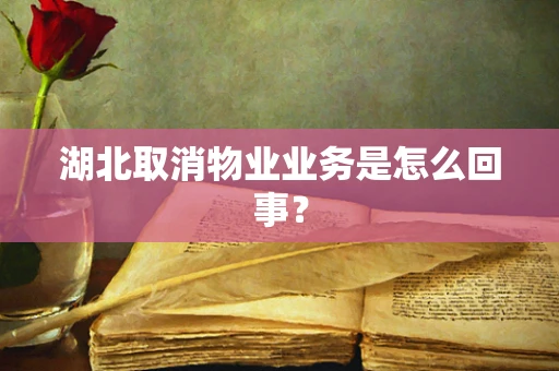 湖北取消物业业务是怎么回事？