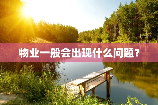 物业一般会出现什么问题？