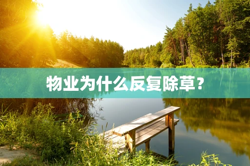 物业为什么反复除草？