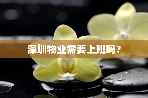 深圳物业需要上班吗？