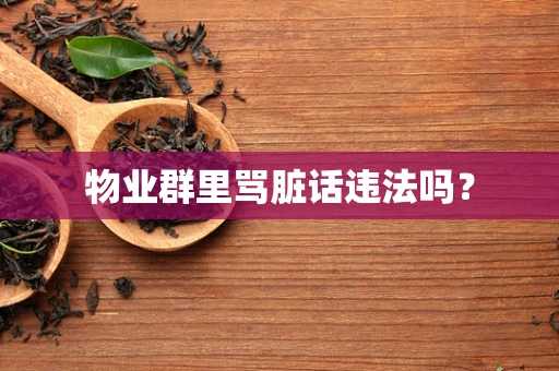 物业群里骂脏话违法吗？