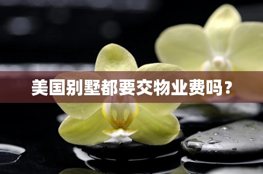 美国别墅都要交物业费吗？