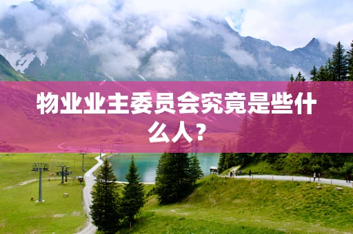 物业业主委员会究竟是些什么人？