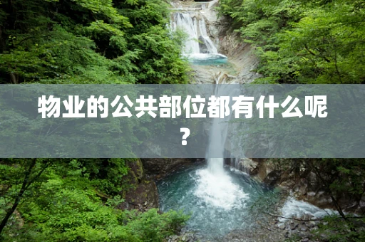 物业的公共部位都有什么呢？