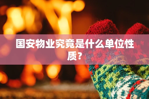 国安物业究竟是什么单位性质？