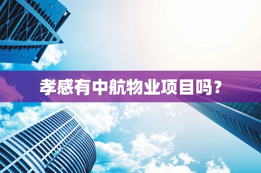 孝感有中航物业项目吗？