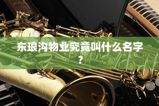 东琅沟物业究竟叫什么名字？