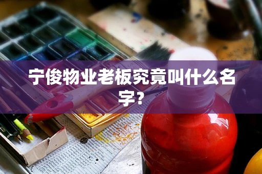 宁俊物业老板究竟叫什么名字？