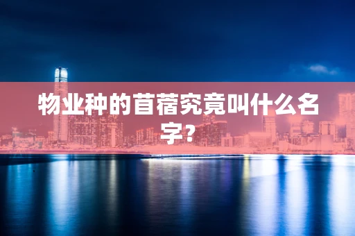 物业种的苜蓿究竟叫什么名字？