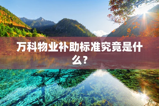 万科物业补助标准究竟是什么？