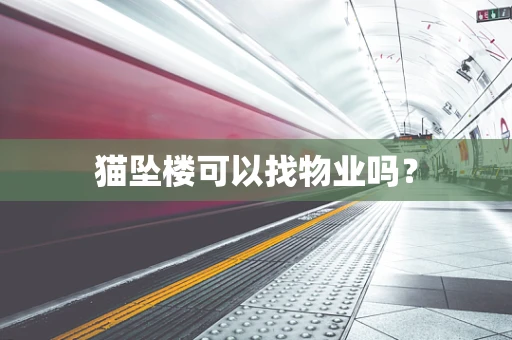 猫坠楼可以找物业吗？