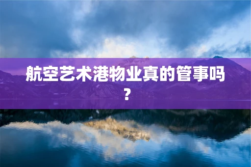 航空艺术港物业真的管事吗？