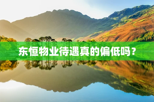 东恒物业待遇真的偏低吗？