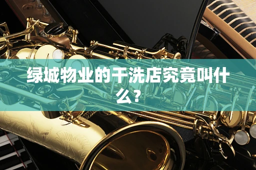 绿城物业的干洗店究竟叫什么？