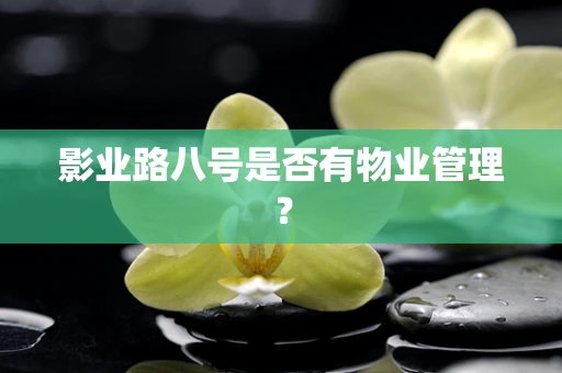 影业路八号是否有物业管理？